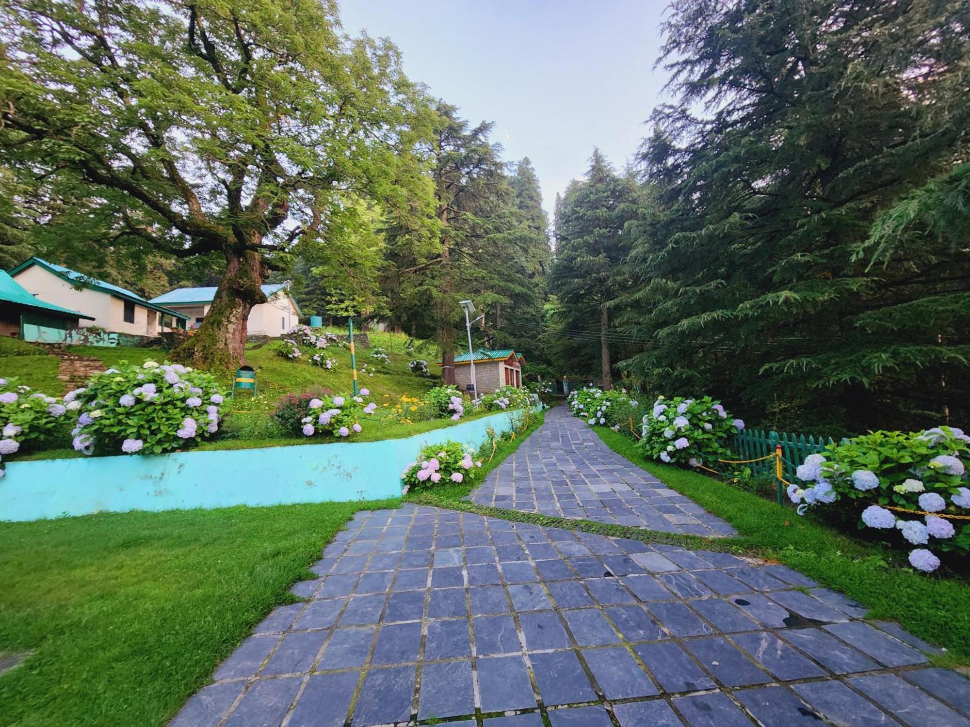 Smarthill Kalatop-Nature'S Heaven Hotel Dalhousie Exterior photo