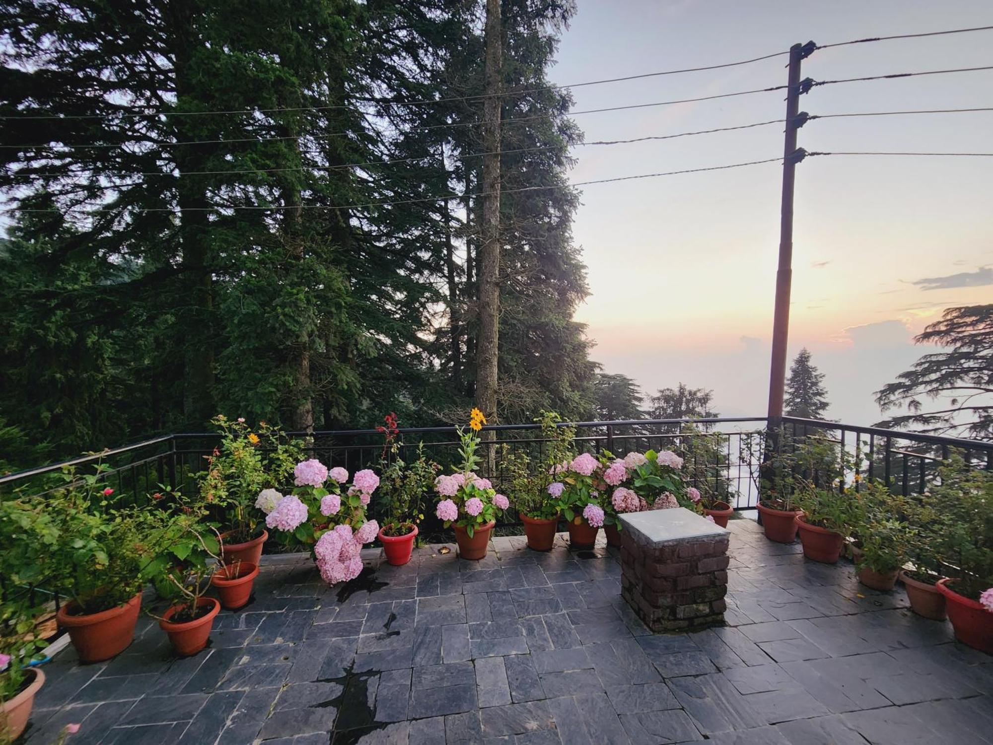 Smarthill Kalatop-Nature'S Heaven Hotel Dalhousie Exterior photo